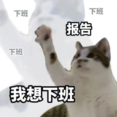 表情包微信头像呆萌