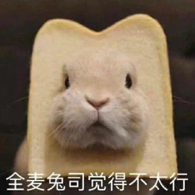 表情包微信头像呆萌