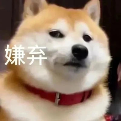 表情包微信头像呆萌