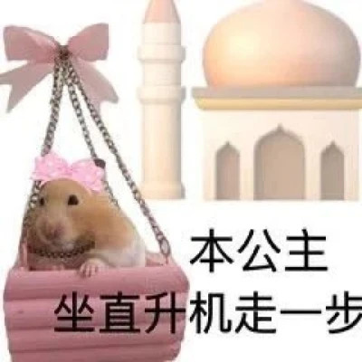 表情包微信头像呆萌