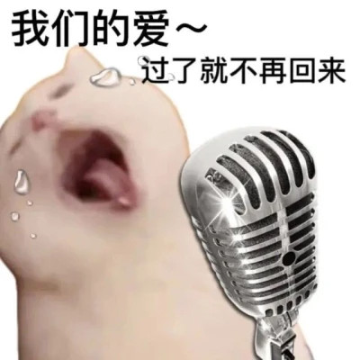 表情包微信头像呆萌