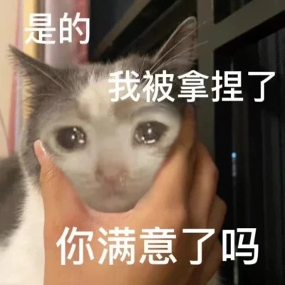 表情包微信头像呆萌
