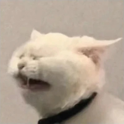 表情包微信头像呆萌