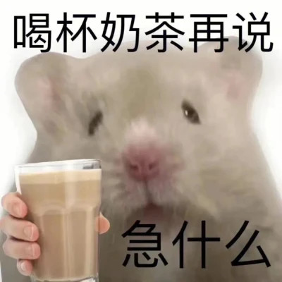 表情包微信头像呆萌