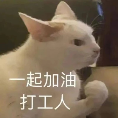 表情包微信头像呆萌