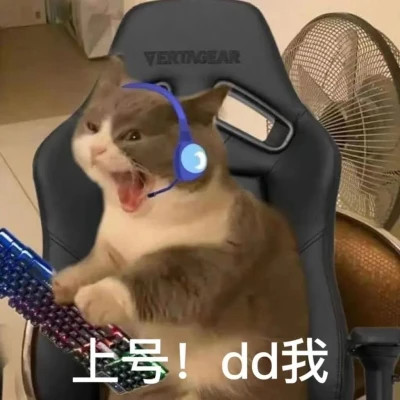 表情包微信头像呆萌