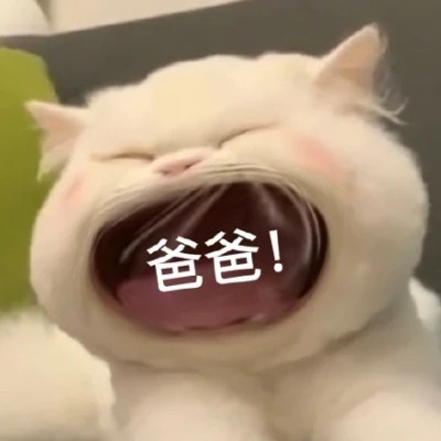 微信精选表情高清头像图片