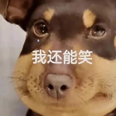 微信精选表情高清头像图片