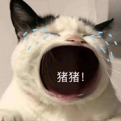 微信精选表情高清头像图片