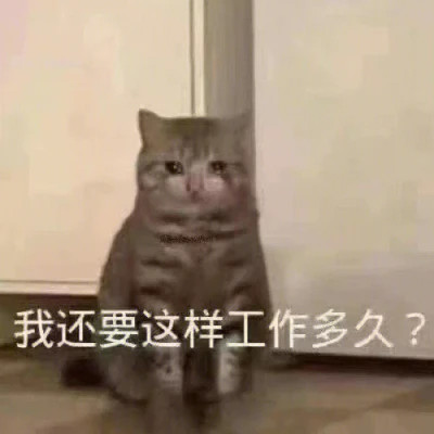微信精选表情高清头像图片
