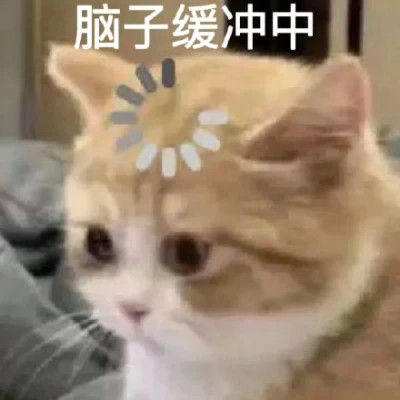 微信精选表情高清头像图片