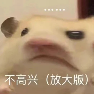 微信精选表情高清头像图片