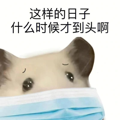 微信精选表情高清头像图片