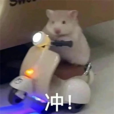 微信表情搞笑头像图片