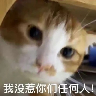 微信表情搞笑头像图片