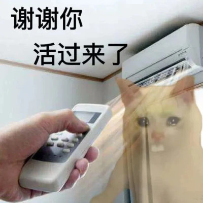 微信表情搞笑头像图片