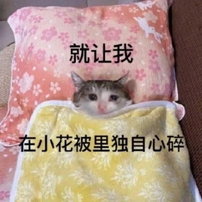 微信表情搞笑头像图片