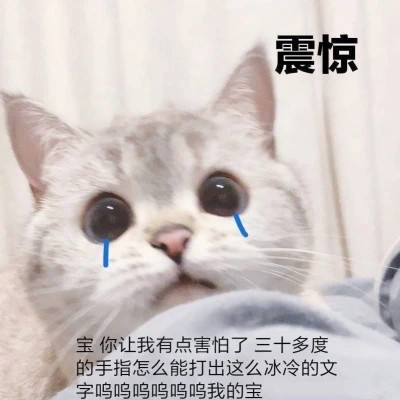 微信表情搞笑头像图片