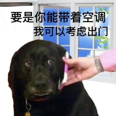 微信表情搞笑头像图片