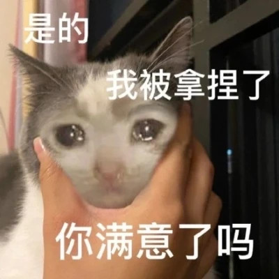 微信表情搞笑头像图片