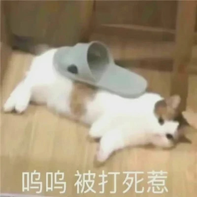 微信表情搞笑头像图片