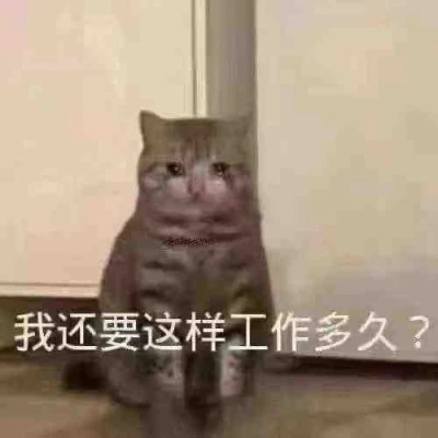 微信表情搞笑头像图片