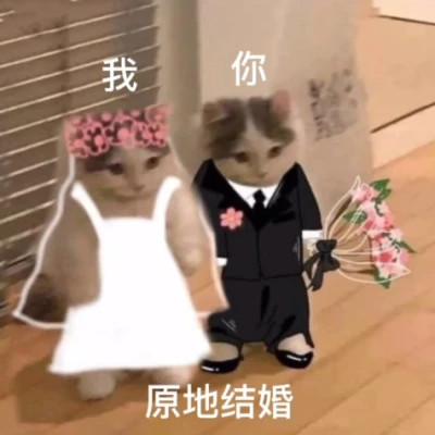 微信表情搞笑头像图片