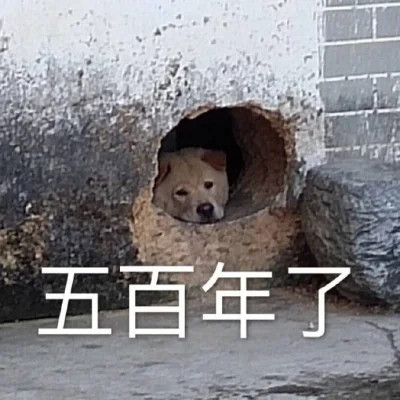 表情头像图片趣味高清