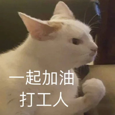 表情头像图片趣味高清