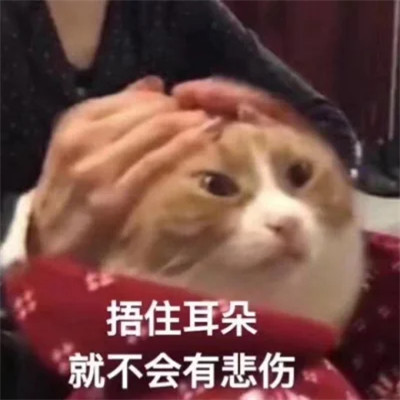 表情头像图片趣味高清
