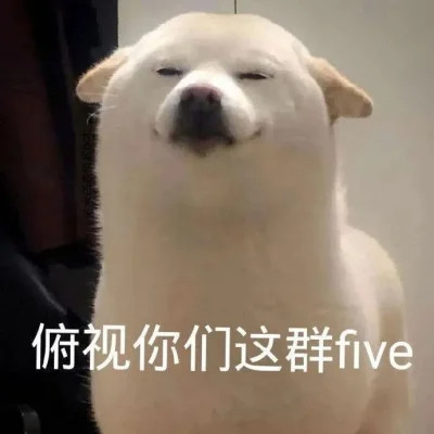 表情头像图片趣味高清