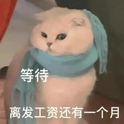 表情头像图片趣味高清