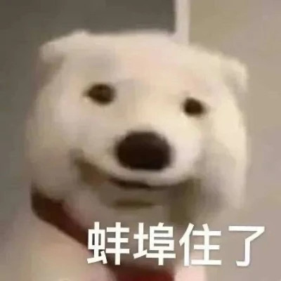 表情头像图片趣味高清
