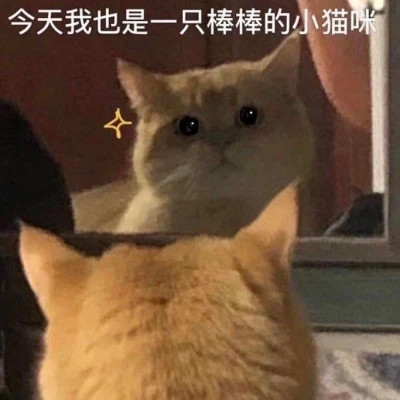 又搞笑又欠揍的头像图片