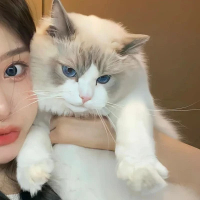 清新优质清纯女头真人