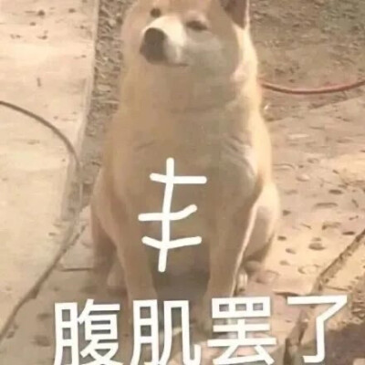2025流行表情包可爱搞笑头像图片