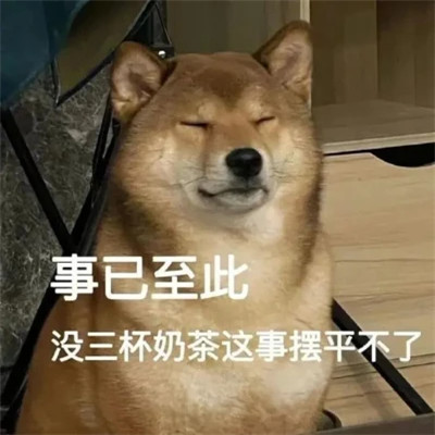 2025流行表情包可爱搞笑头像图片