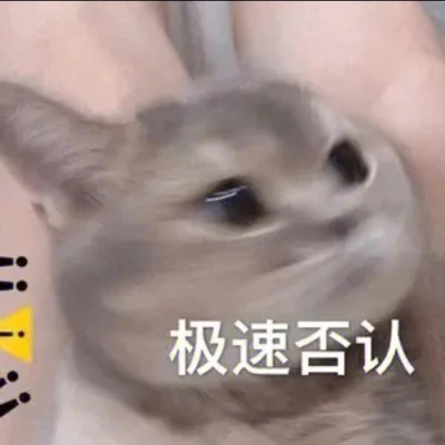 2025流行表情包可爱搞笑头像图片