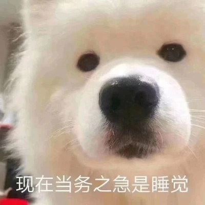 2025年最火的表情包头像图片