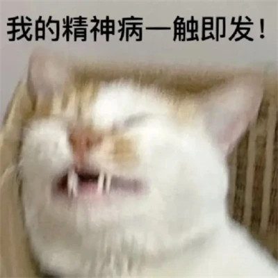 2025年最火的表情包头像图片