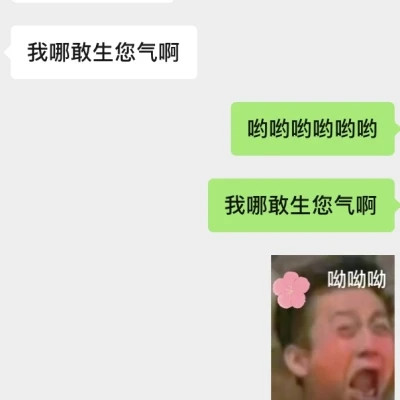 2025年最火的表情包头像图片