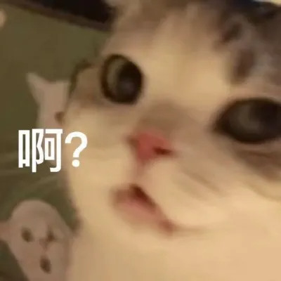 2025年最火的表情包头像图片