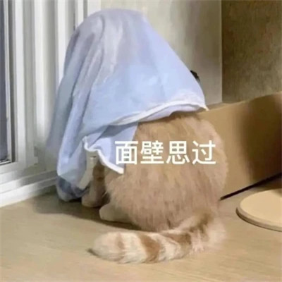2025年最火的表情包头像图片
