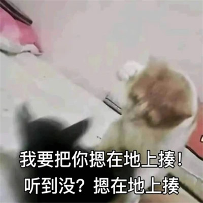 2025年最火的表情包头像图片