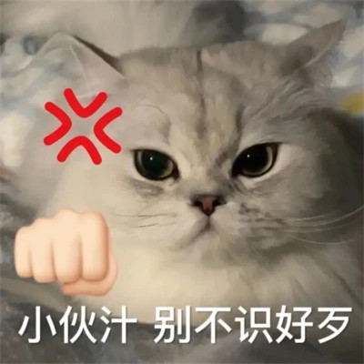2025年最火的表情包头像图片