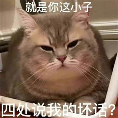 2025年最火的表情包头像图片