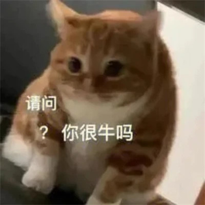 2025年最火的表情包头像图片