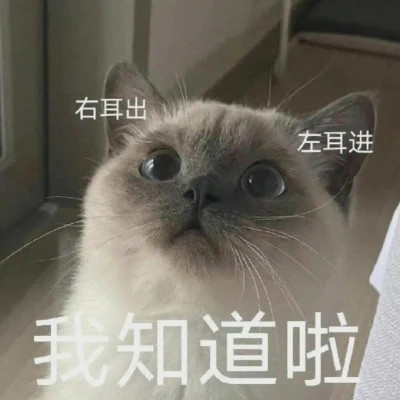 2025年最火的表情包头像图片