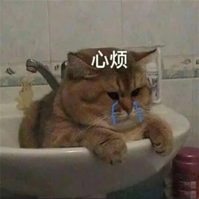 2025年最火的表情包头像图片