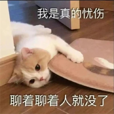 2025年最火的表情包头像图片
